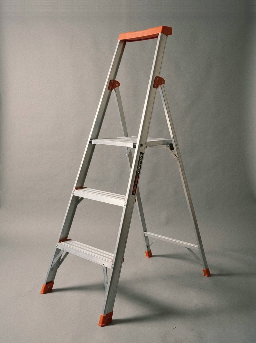 Little Giant Flip-N-Lite 5'